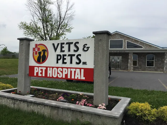 Vets & Pets Pet Hospital Picture 4
