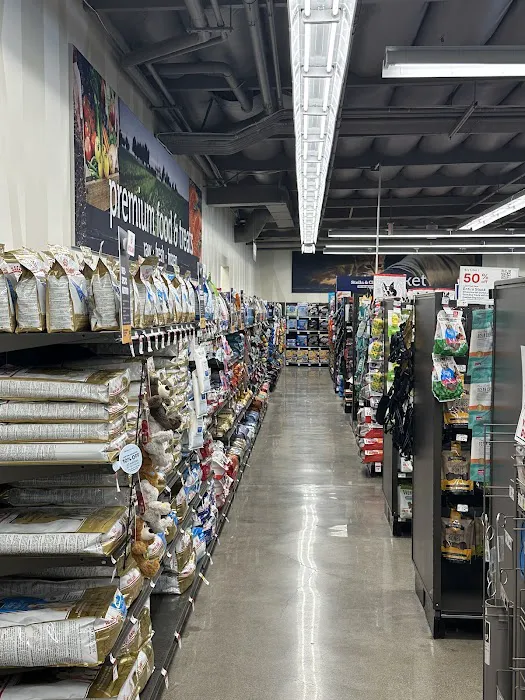 Petco Picture 6