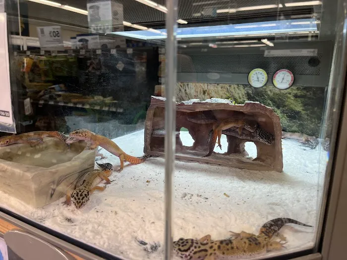 Petco Picture 2