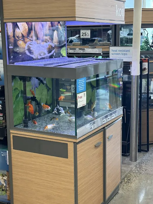 Petco Picture 7