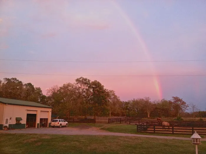 Clarke Equine Wellness and Performance Picture 3