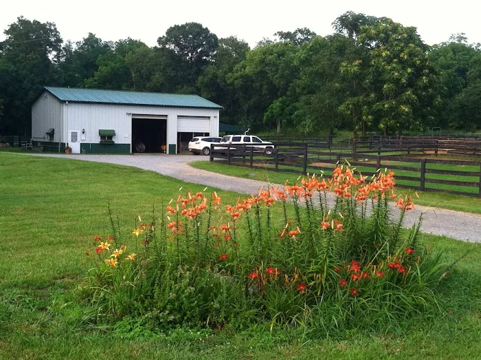 Clarke Equine Wellness and Performance Picture 2