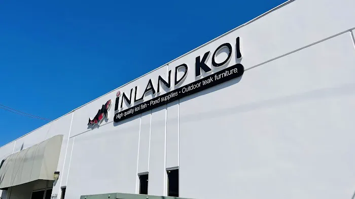 Inland Koi Picture 1