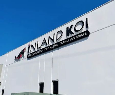 Inland Koi