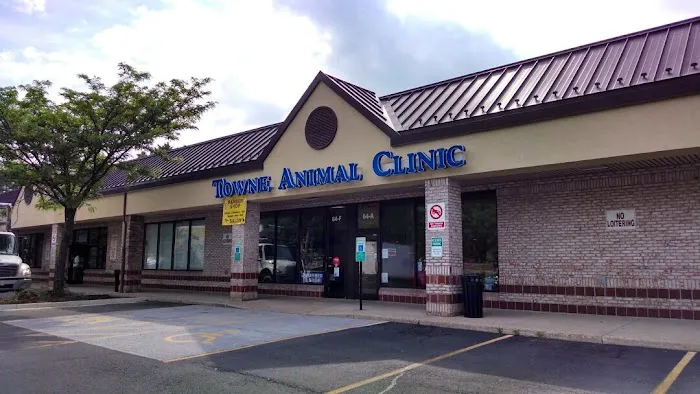 Towne Animal Clinic Picture 5