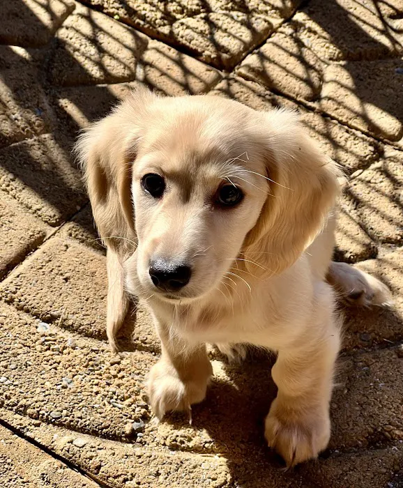 Towne Animal Clinic Picture 4