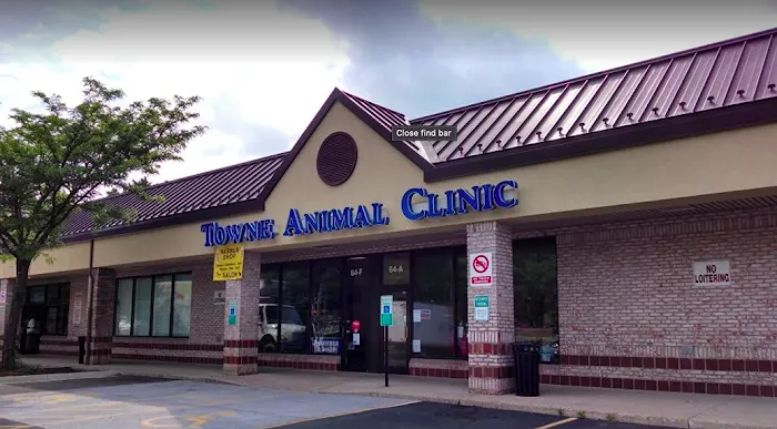 Towne Animal Clinic Picture 9