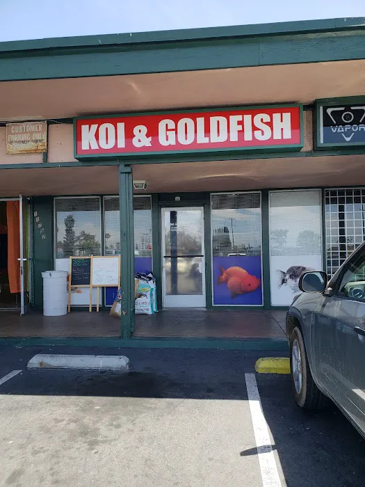 King Koi & Goldfish Picture 6