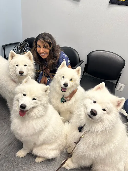 Ocean Veterinary Ophthalmology, LLC Picture 4