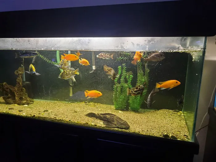 Nolan's Aquarium Picture 2