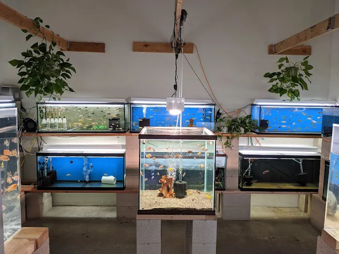 Nolan's Aquarium Picture 3