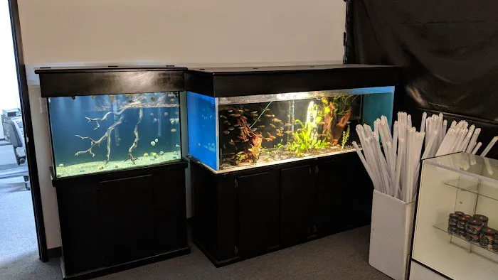 Nolan's Aquarium Picture 8