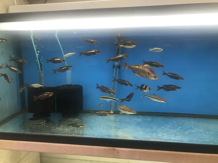 Nolan's Aquarium Picture 9
