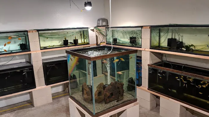 Nolan's Aquarium Picture 6