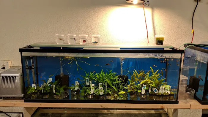 Nolan's Aquarium Picture 7