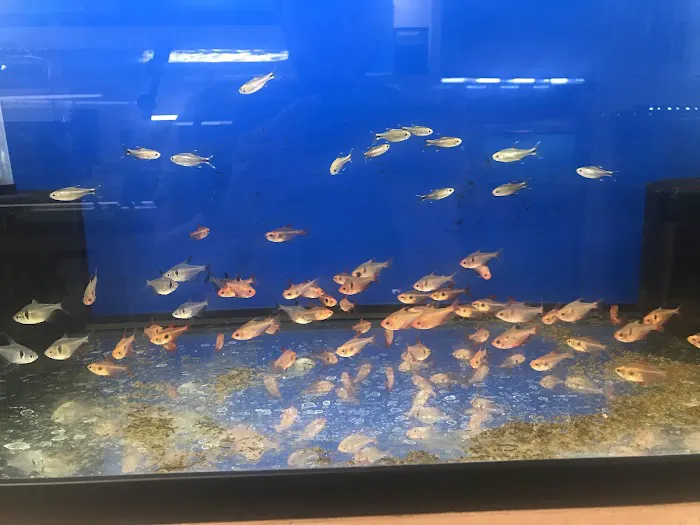 Nolan's Aquarium Picture 10
