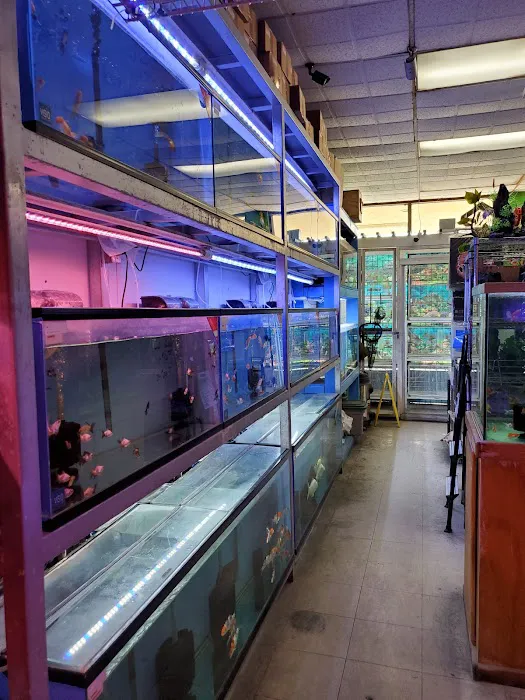 D D Fish & Pets Picture 3