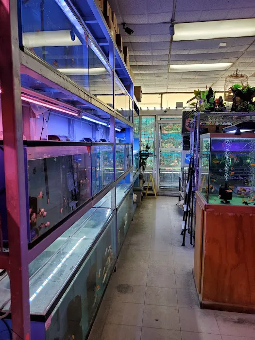 D D Fish & Pets Picture 6