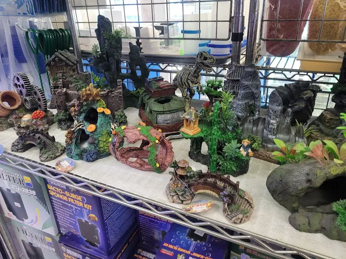 D D Fish & Pets Picture 4