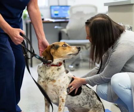 The Oncology Service - Leesburg