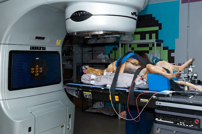 The Oncology Service - Leesburg Picture 8