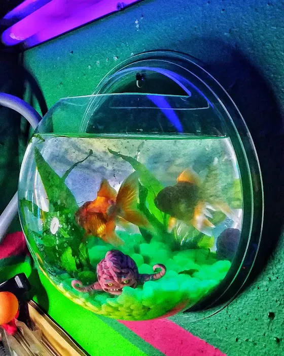 Tropical Fish World Picture 5