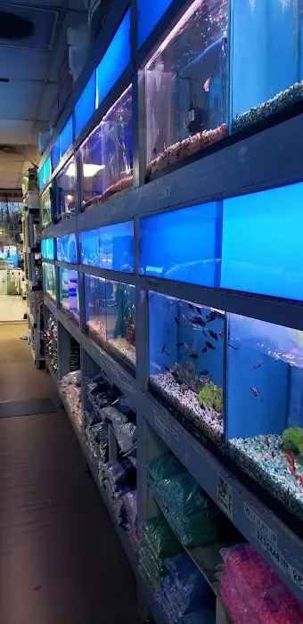 Tropical Fish World Picture 6