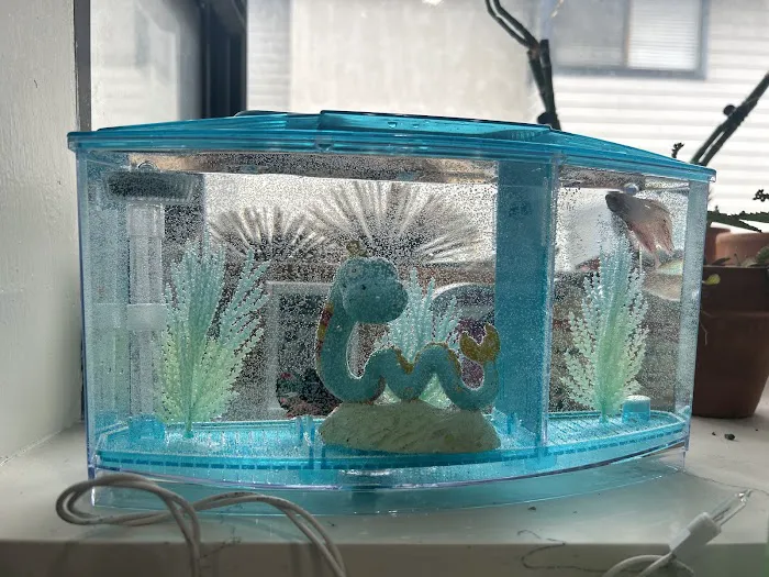 Tropical Fish World Picture 1