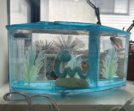 Tropical Fish World