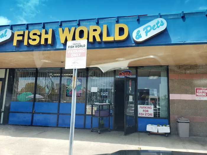 Tropical Fish World Picture 2