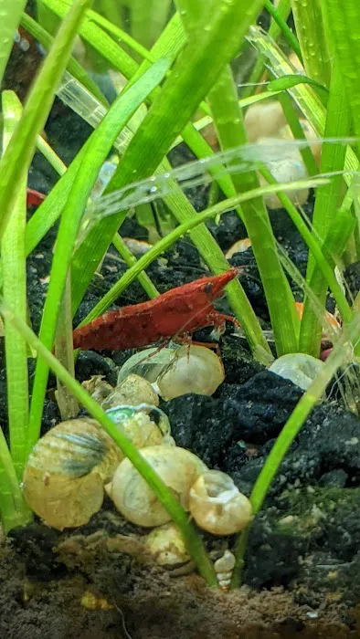 Tropical Fish World Picture 10