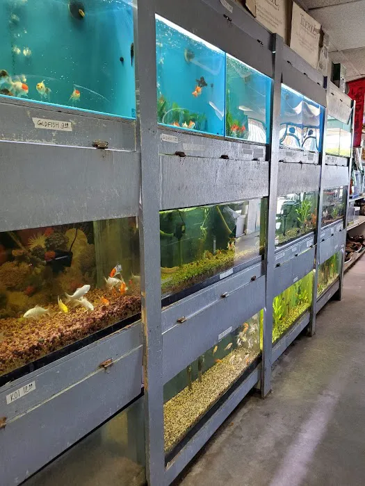 Tropical Fish World Picture 9