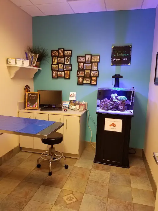Animal Dentistry & Oral Surgery Picture 3