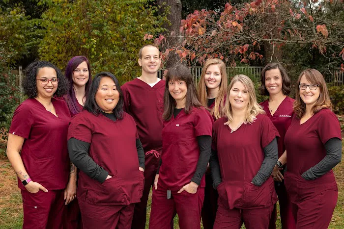 Animal Dentistry & Oral Surgery Picture 1