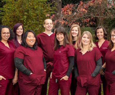 Animal Dentistry & Oral Surgery