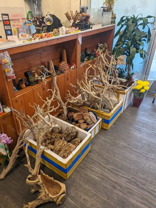 The Fin Shop Picture 2