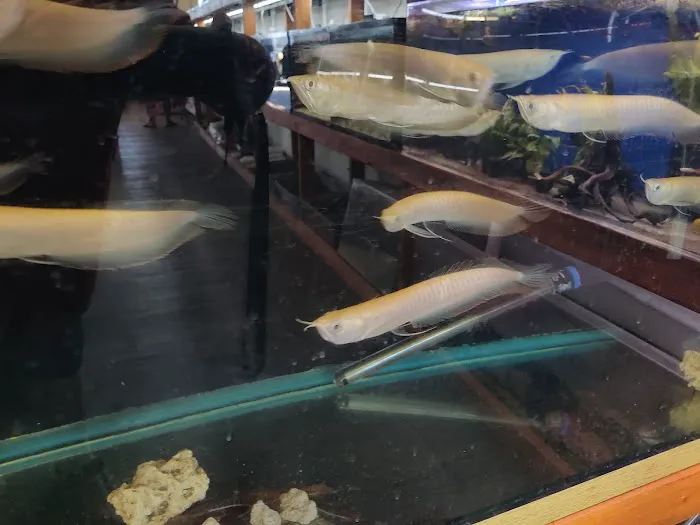 The Fin Shop Picture 1