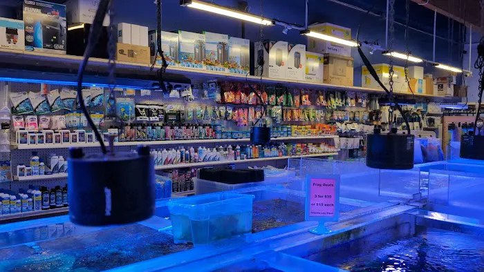Seaside Tropical Fish Picture 5