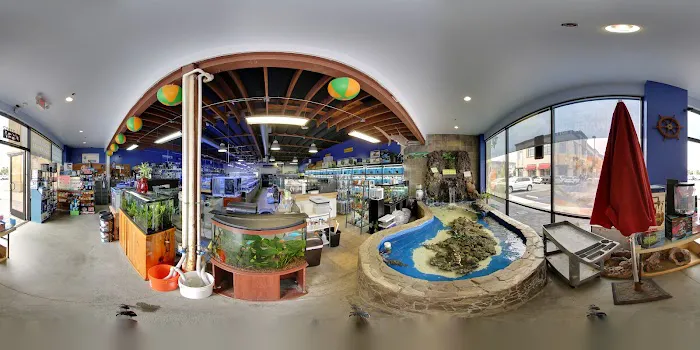 Seaside Tropical Fish Picture 4
