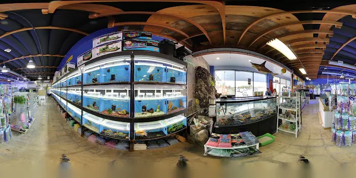 Seaside Tropical Fish Picture 8
