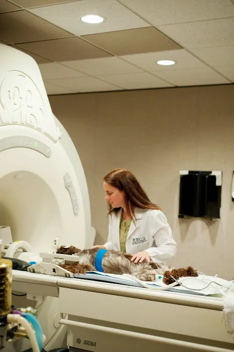 Bush Veterinary Neurology Service (BVNS) - Leesburg Picture 2