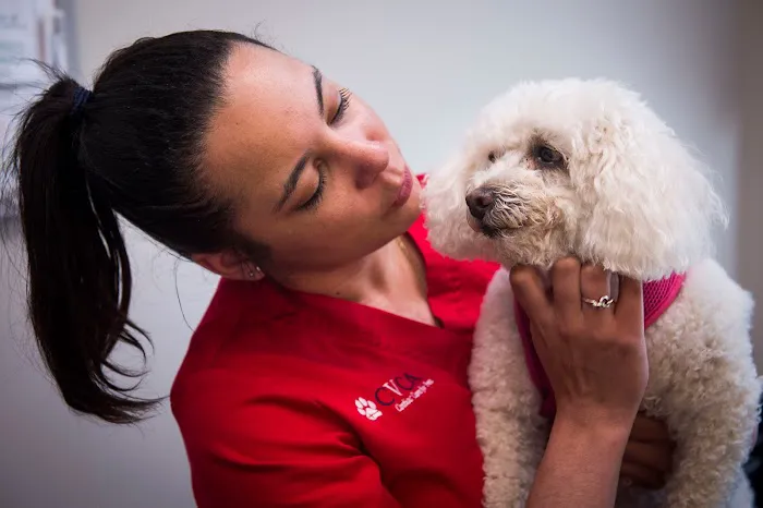 CVCA Cardiac Care For Pets Picture 7