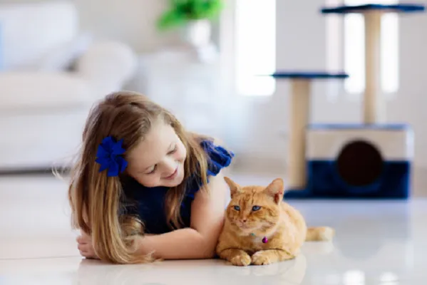 CVCA Cardiac Care For Pets Picture 9