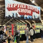 Reptile Super Show