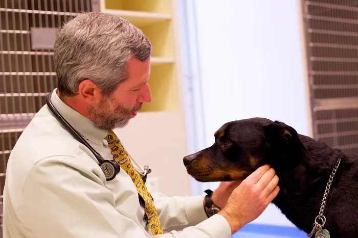 Leesburg Veterinary Internal Medicine Picture 1