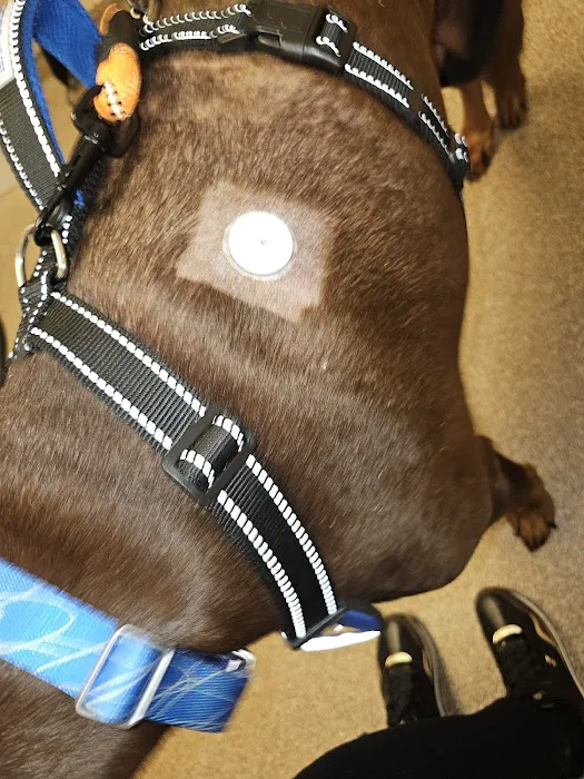 Leesburg Veterinary Internal Medicine Picture 4