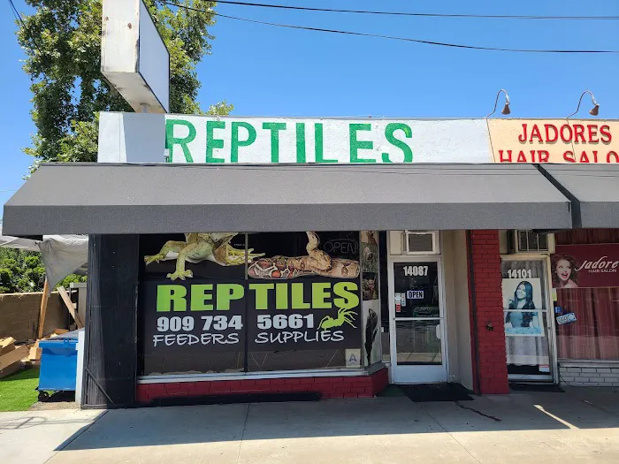 Kendog's Reptile Shop Picture 1