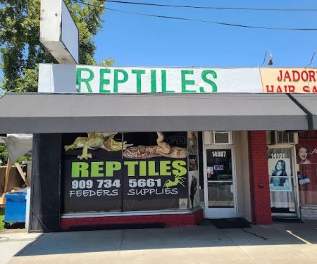 Kendog's Reptile Shop