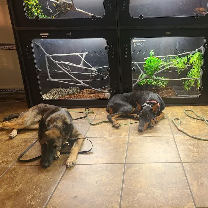 Kendog's Reptile Shop Picture 2