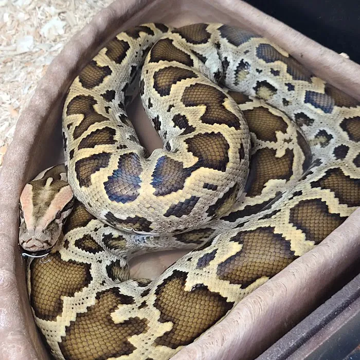 Kendog's Reptile Shop Picture 8